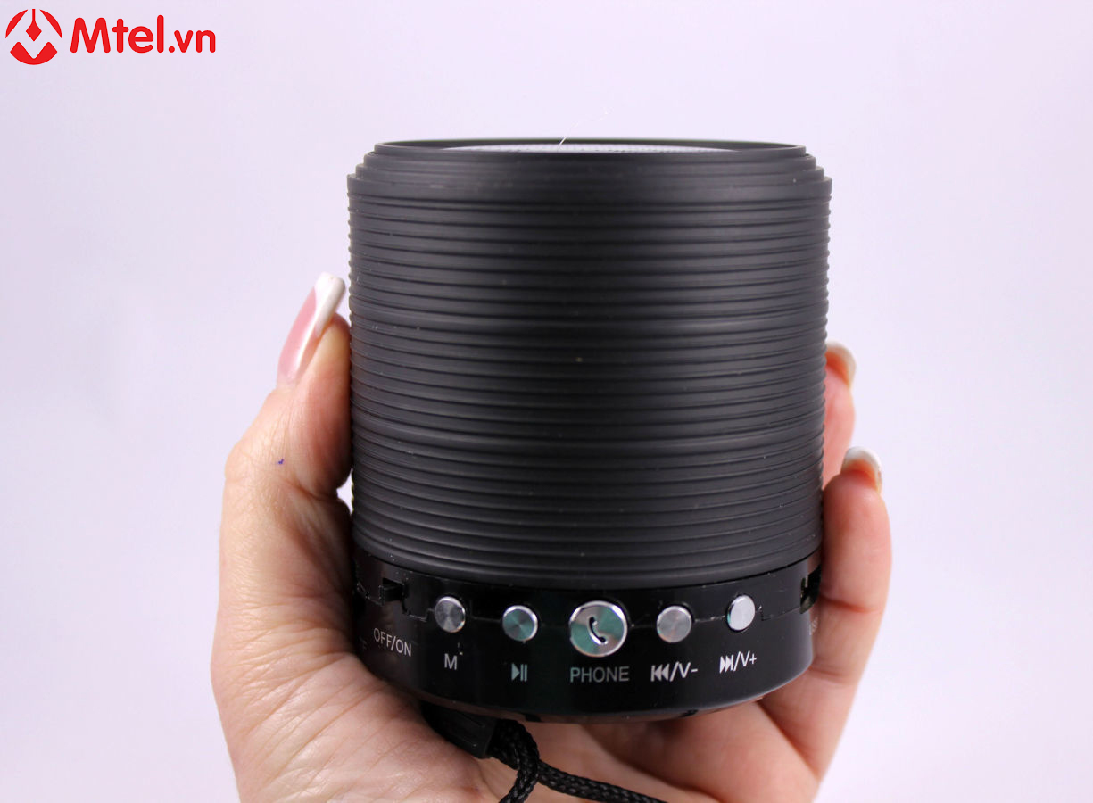 3329_portativnaya-besprovodnaya-bluetooth-kolonka-ws-631-s-radio-photo-1e4e