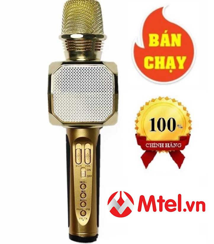 3338_mic-kem-loa-karaoke