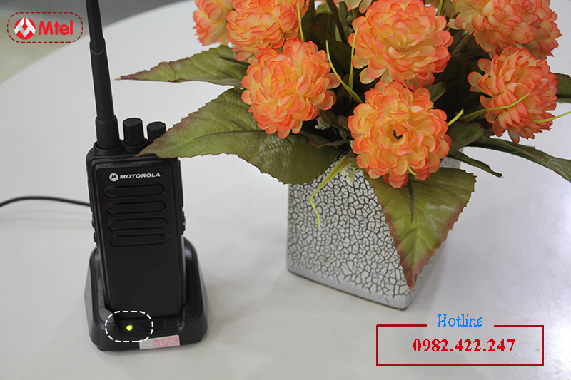 3381_m_gp615_mtel_1