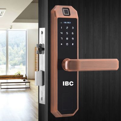 Khóa Vân Tay IBC A2