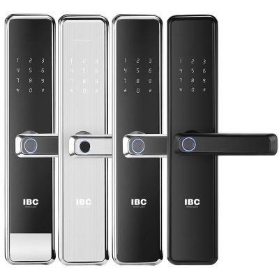 Khóa Cửa Vân Tay IBC PRO X10