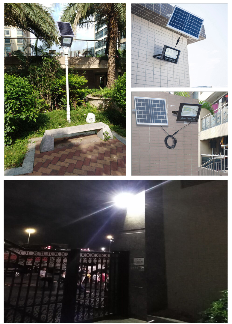 3448_hinhanhthucte