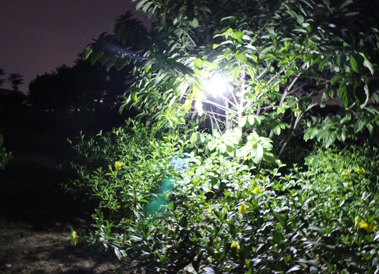 3465_denbupnangluongmattroi14