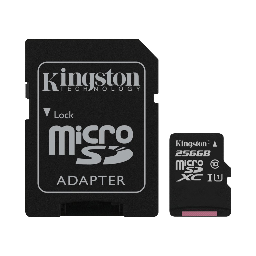 3476_micro-kingston-canvas-select-256gb-01