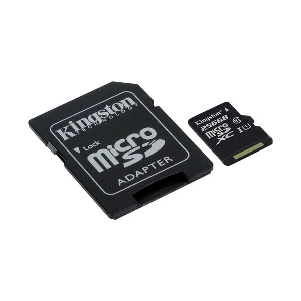3476_micro-kingston-canvas-select-256gb-02