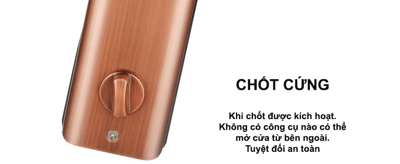 che1bb91t-che1babft Chốt trong khóa lion lock