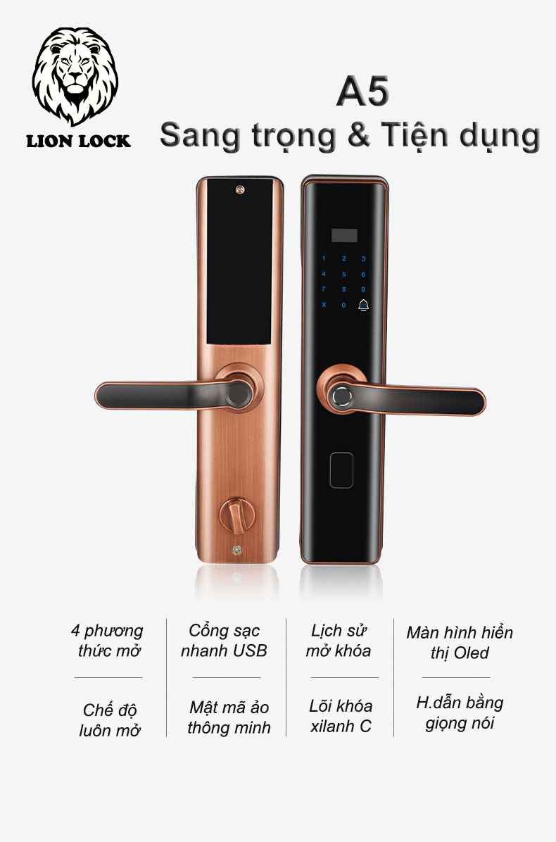 thie1babft-ke1babf-tie1bb87n-de1bba5ng-sang-tre1bb8dng Thiết kế khóa tiện dụng sang trọng khóa A5