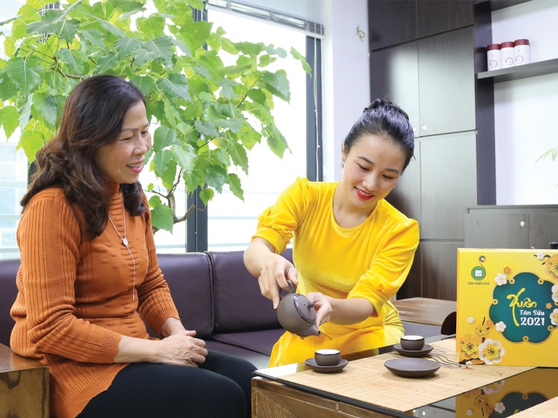 Chè Shan Tuyết Cổ Thụ Là Gì